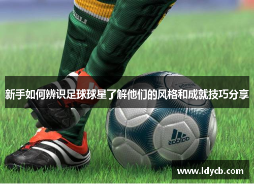 新手如何辨识足球球星了解他们的风格和成就技巧分享